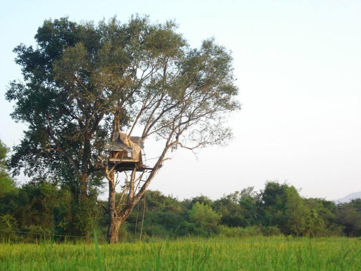 Castle Rock Sigiriya Hotel Kibissa Exterior photo